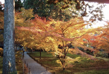 京都、大原の三千院の境内3.　時間差における自然光の違い