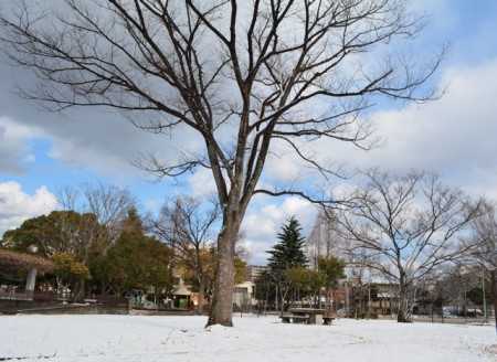 2015.1.1. 初雪